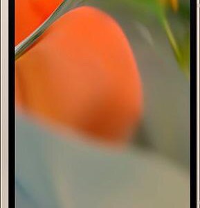 Google Pixel 9 Pro Fold